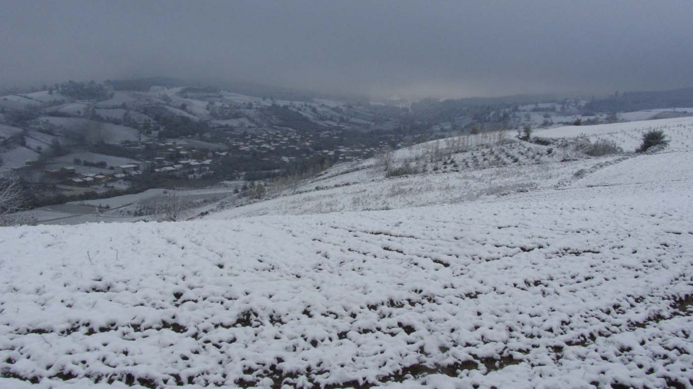 1_162_.jpg (1400×787)