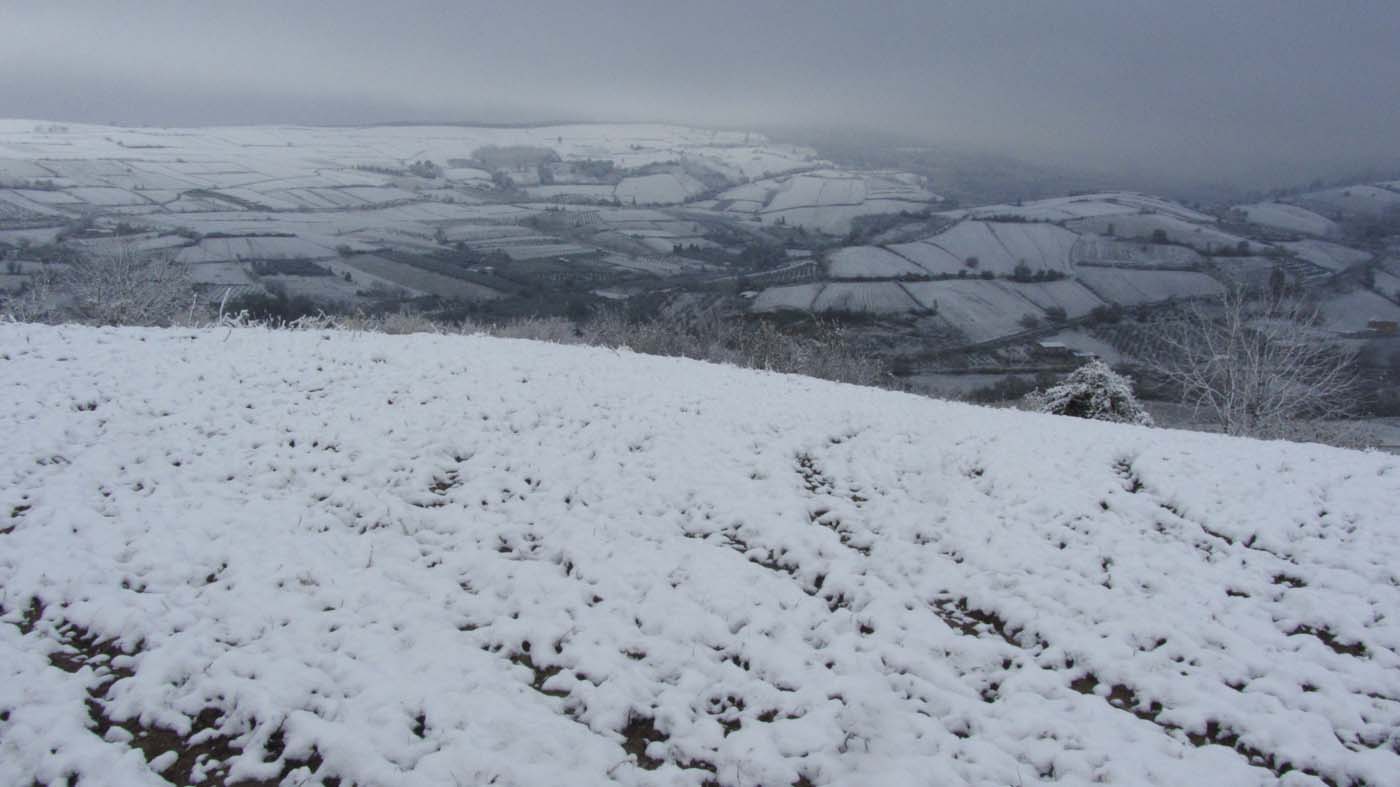 1_165_.jpg (1400×787)