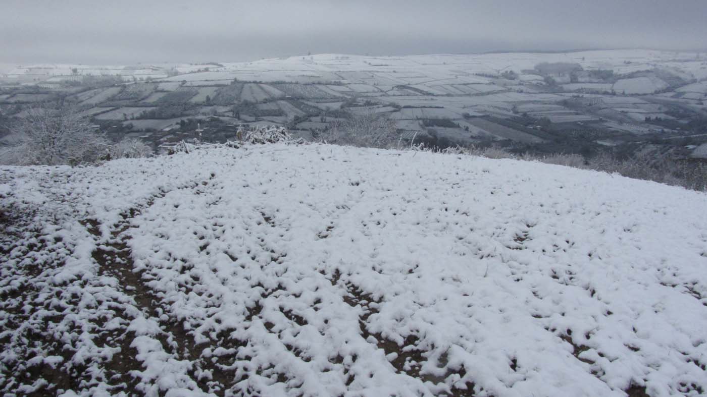 1_166_.jpg (1400×787)