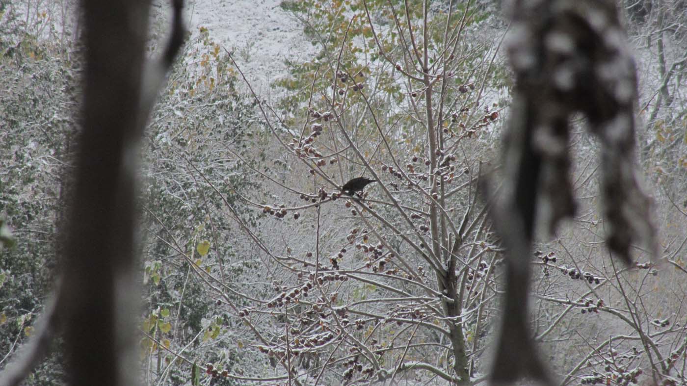 1_168_.jpg (1400×787)