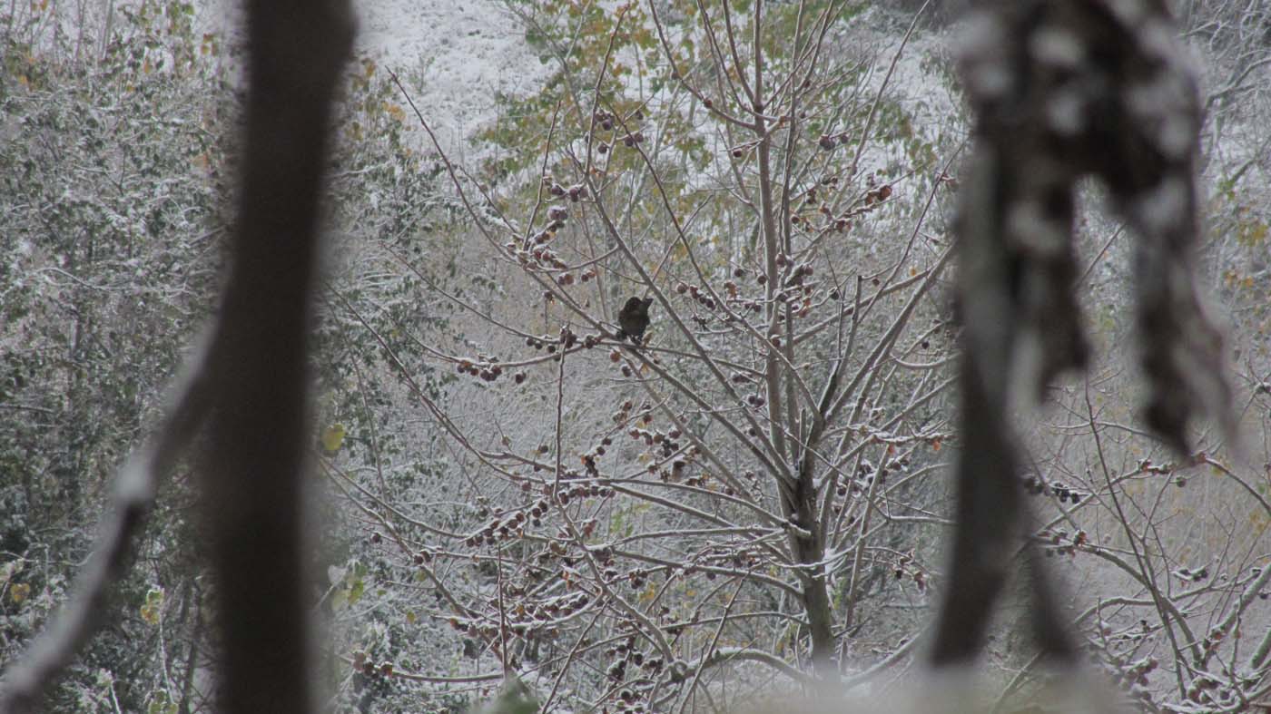 1_169_.jpg (1400×787)