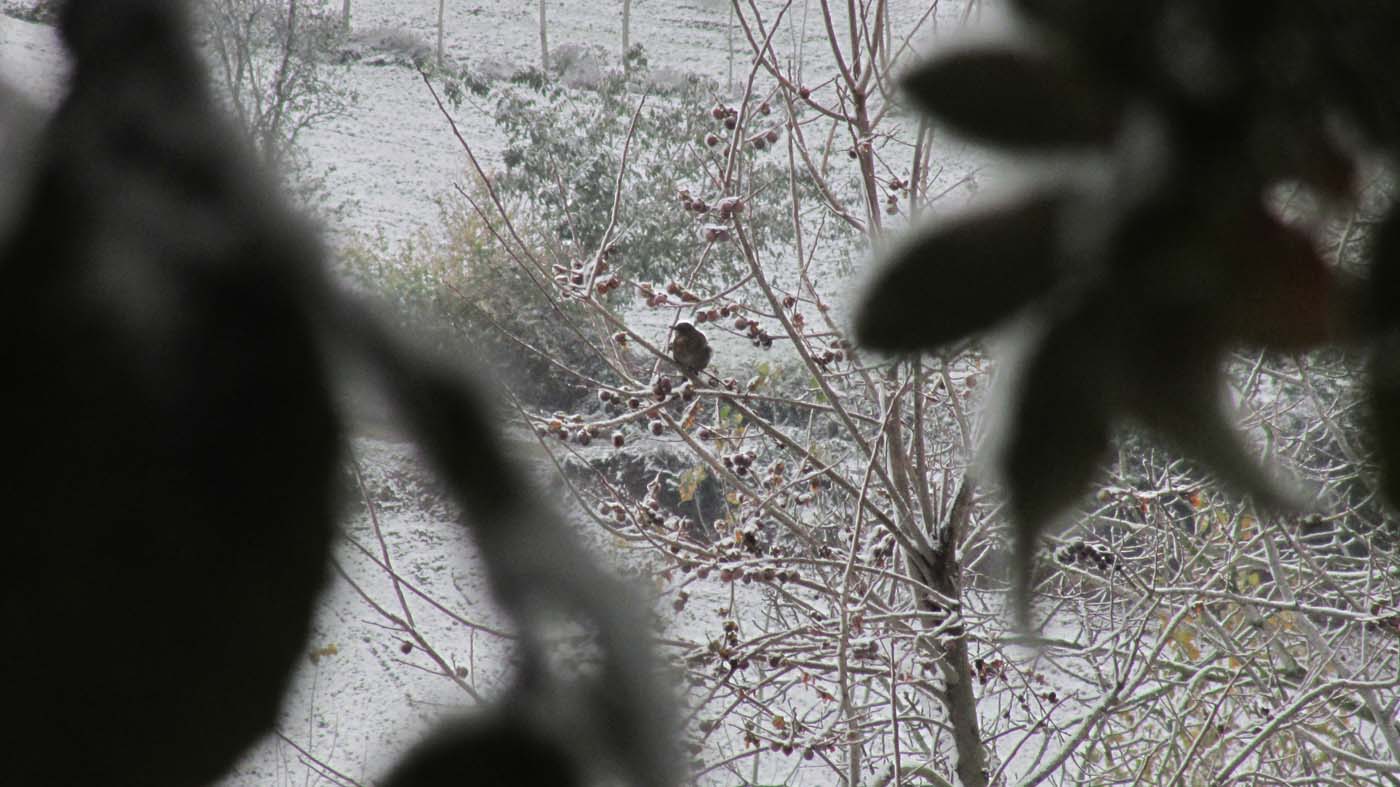 1_170_.jpg (1400×787)