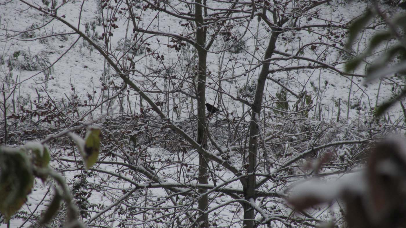 1_174_.jpg (1400×787)