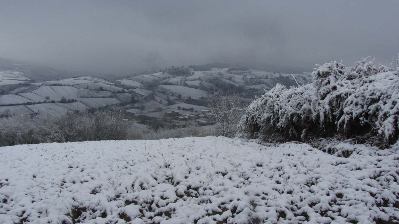 1_176_.jpg (1400×787)