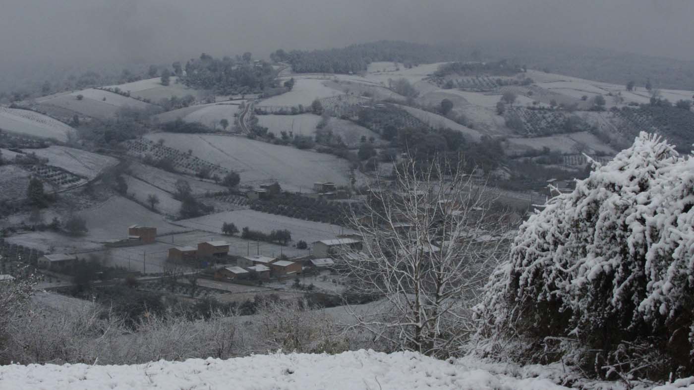 1_177_.jpg (1400×787)