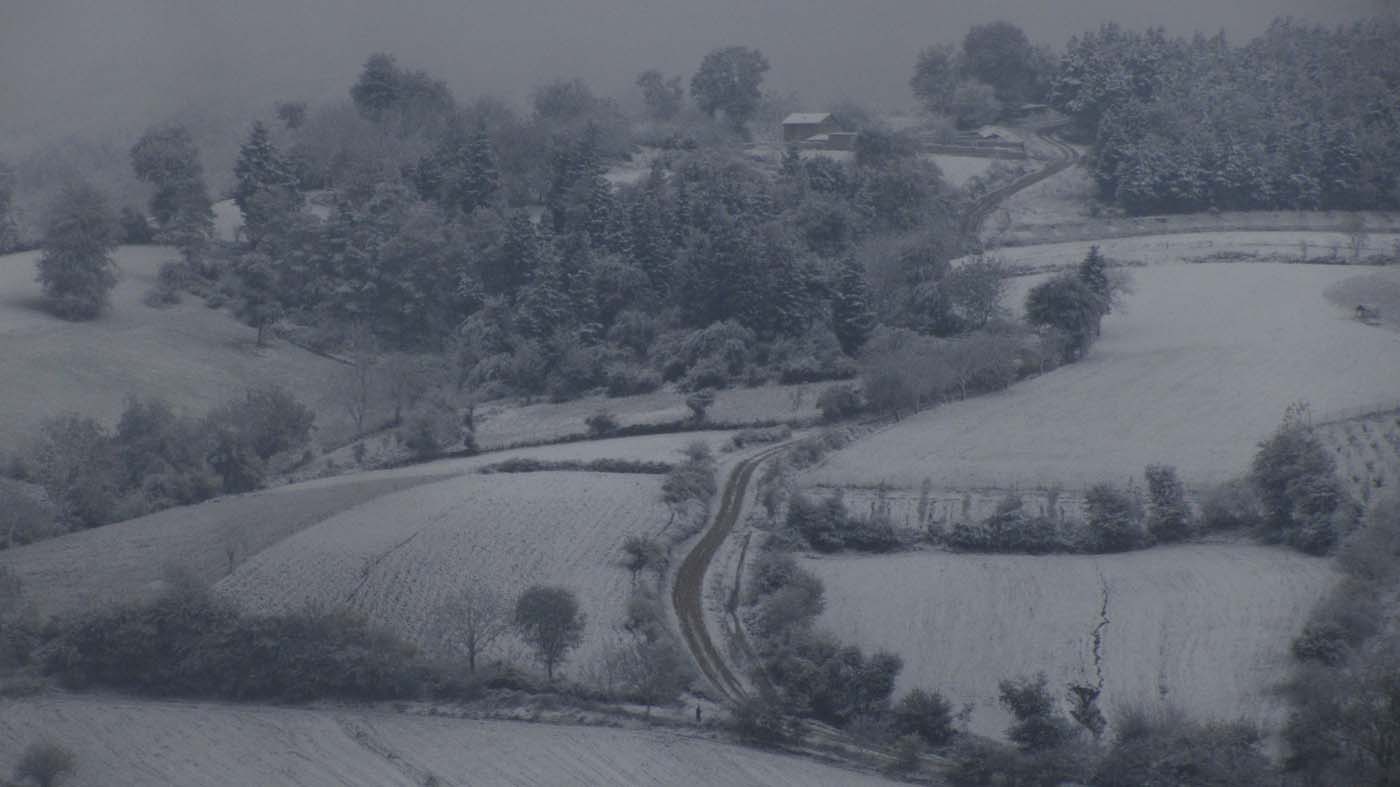 1_179_.jpg (1400×787)