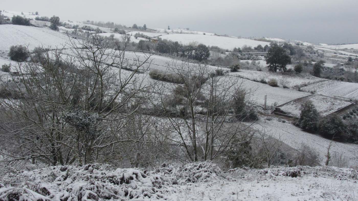 1_182_.jpg (1400×787)