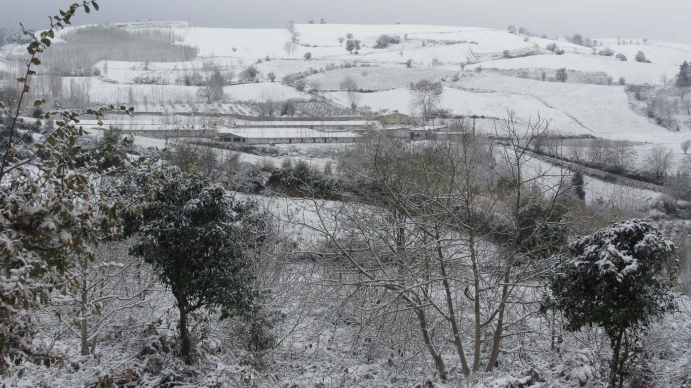 1_184_.jpg (1400×787)