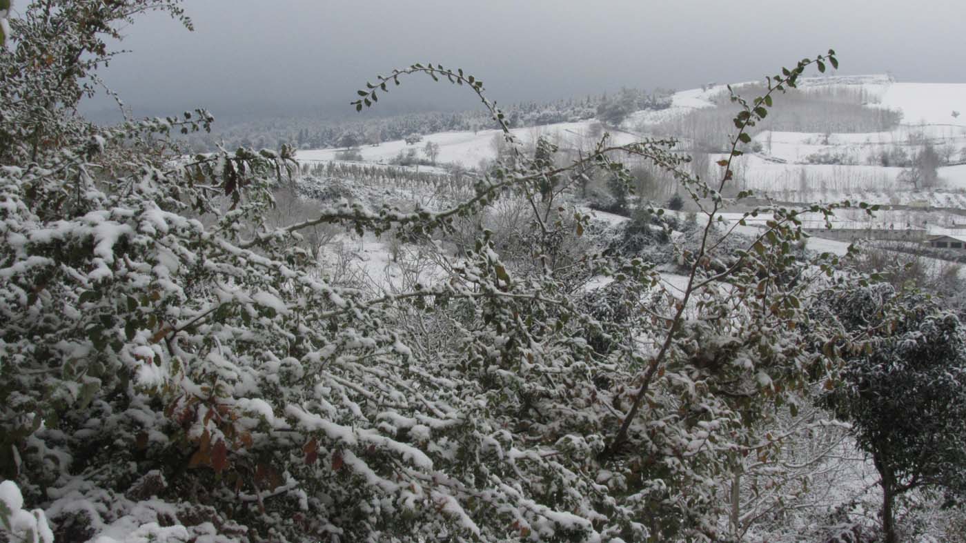 1_185_.jpg (1400×787)