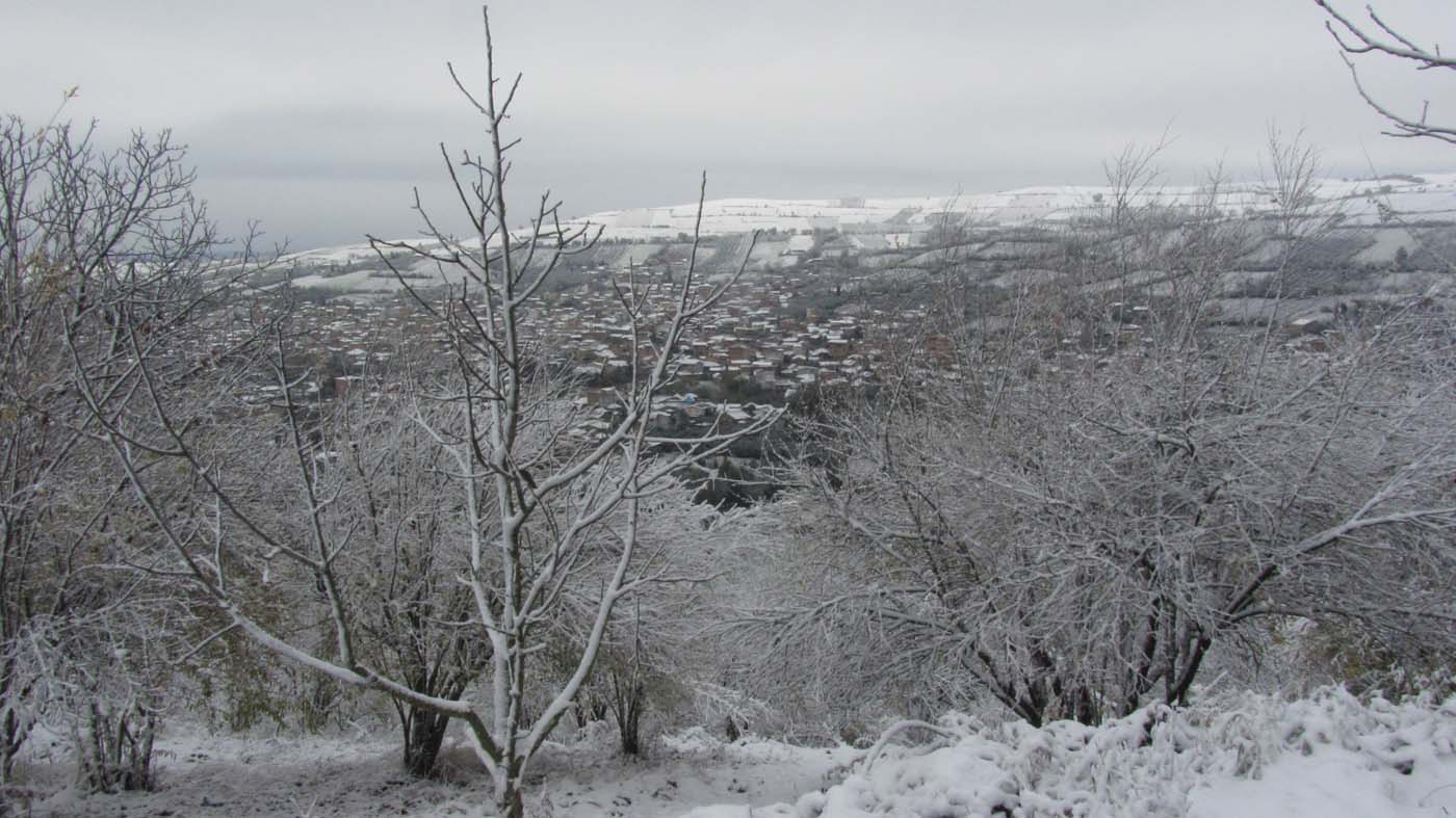 1_190_.jpg (1400×787)