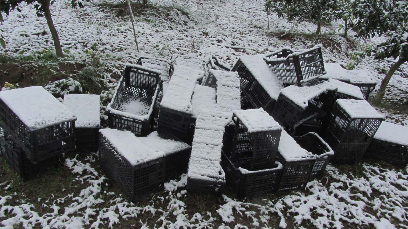 1_202_.jpg (1400×787)