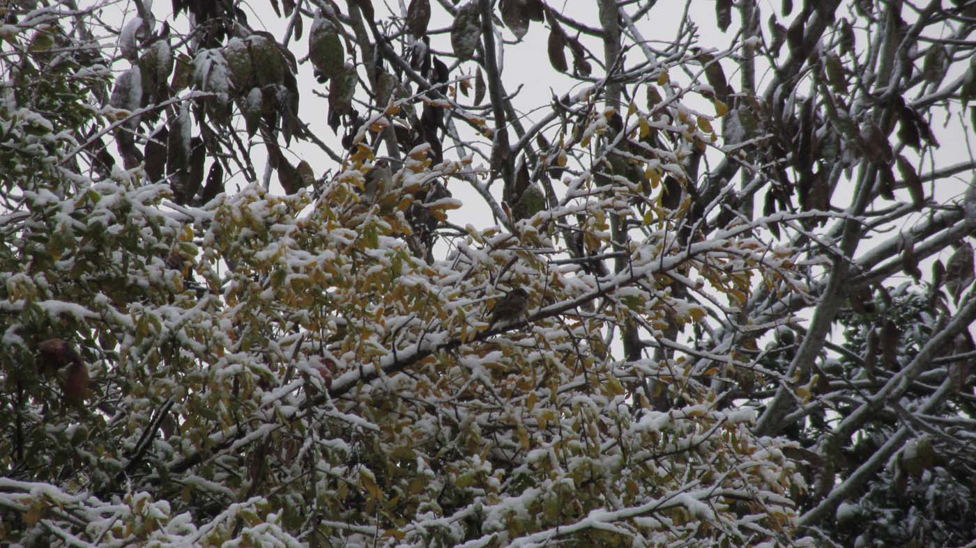 1_205_.jpg (1400×787)