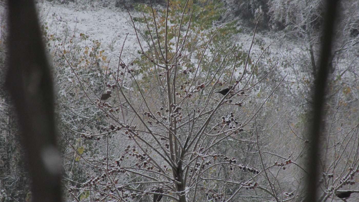 1_173_.jpg (1400×787)