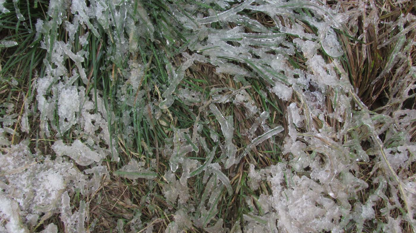 1_2_.jpg (1400×787)