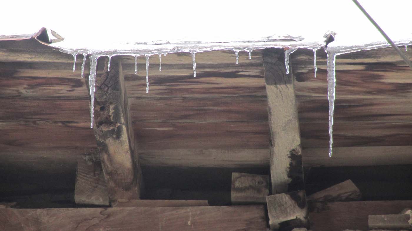 1_4_.jpg (1400×787)