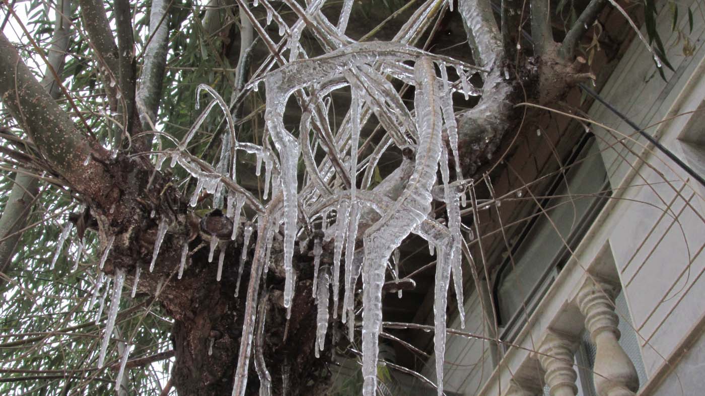 1_8_.jpg (1400×787)