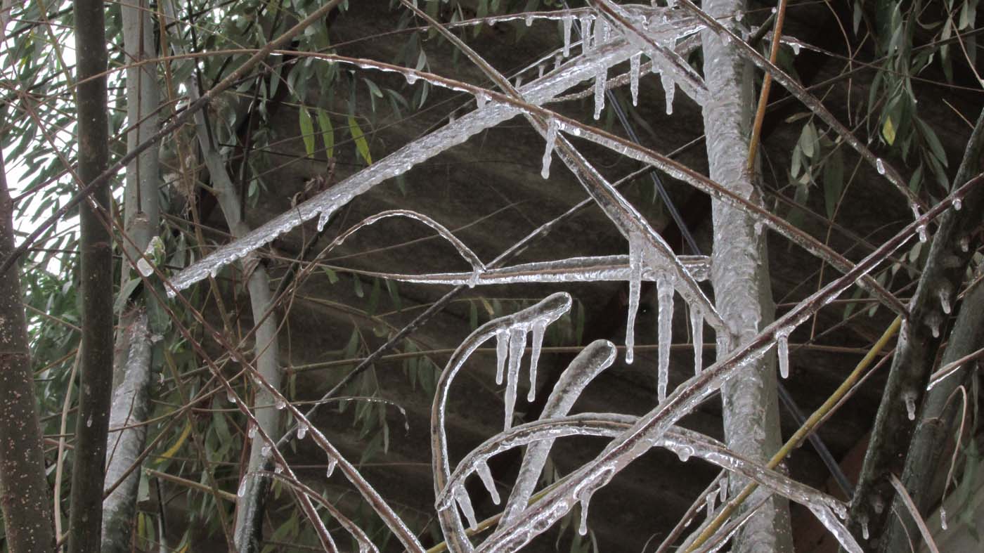 1_9_.jpg (1400×787)