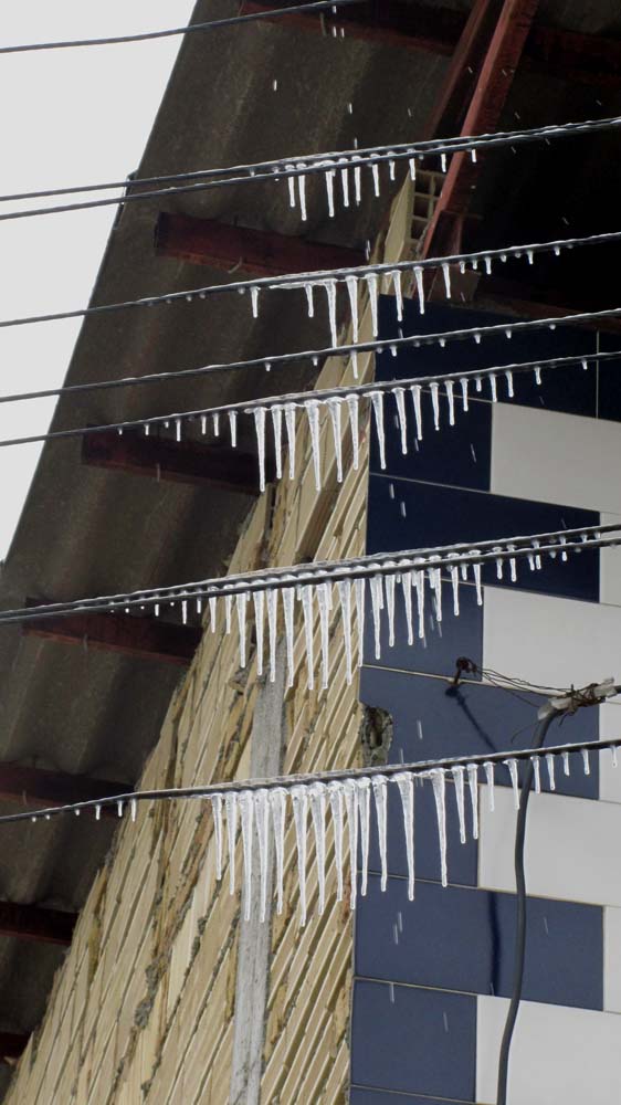 1_11_.jpg (562×1000)