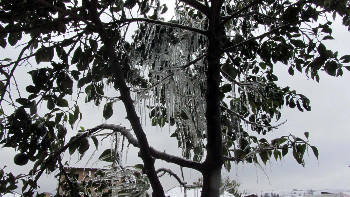 1_15_.jpg (1400×787)