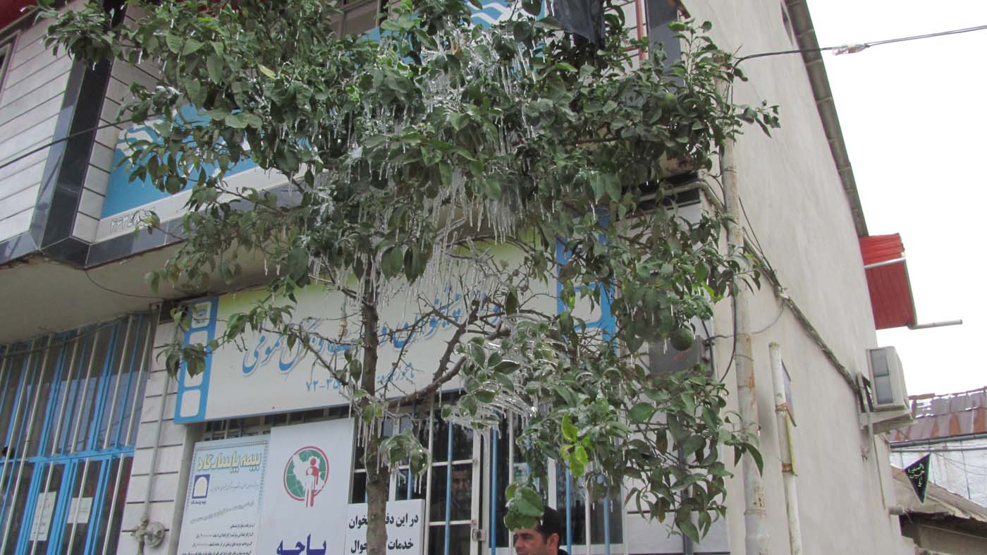 1_17_.jpg (1400×787)