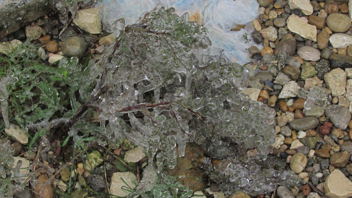 1_26_.jpg (1400×787)