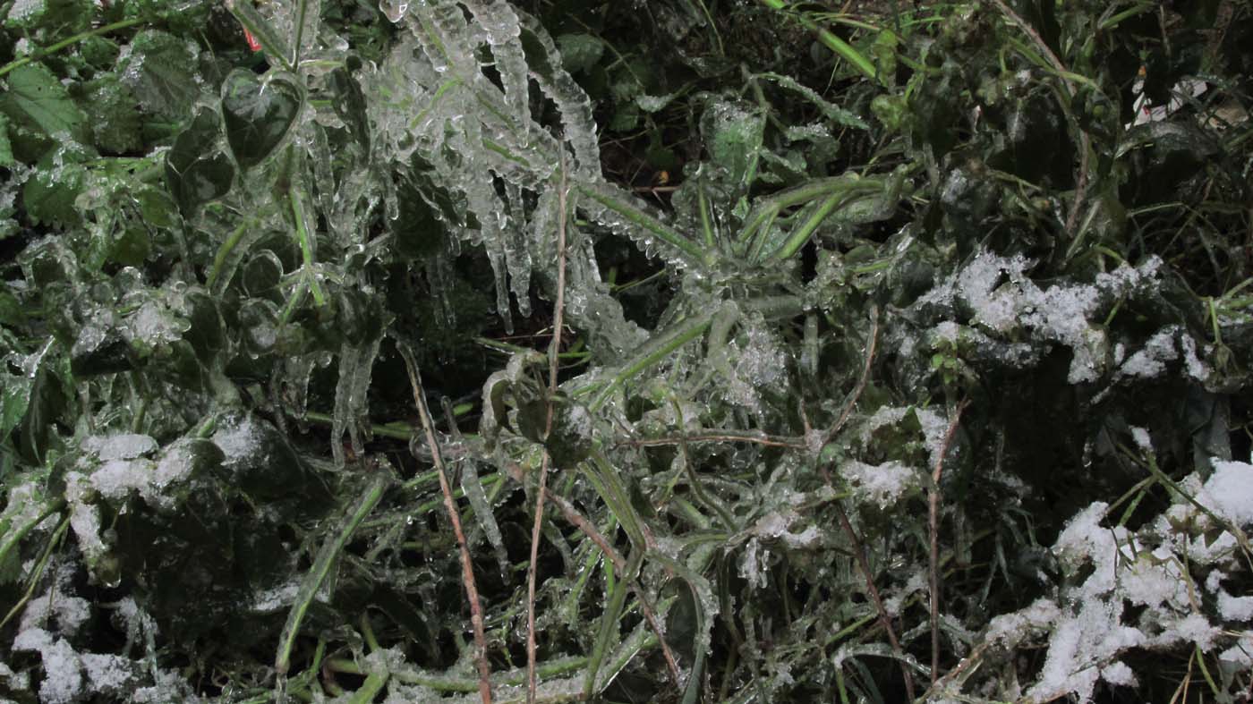 1_28_.jpg (1400×787)