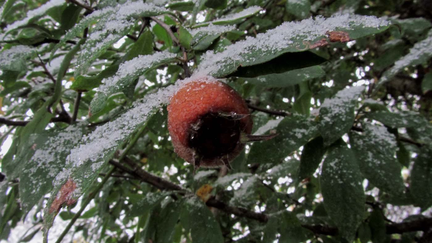 1_1_.jpg (1400×787)