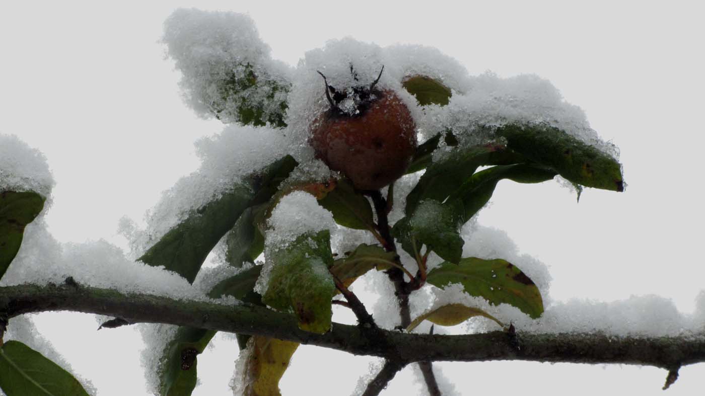 1_3_.jpg (1400×787)