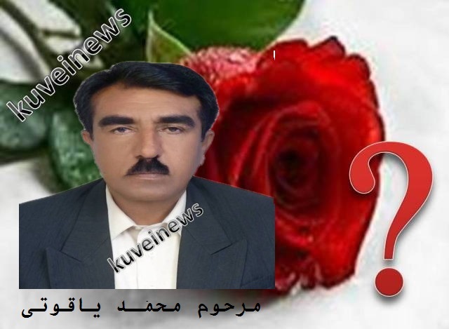 کوویی نیوز