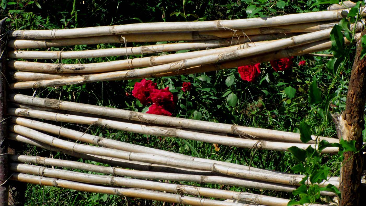 2_2_.jpg (1400×787)