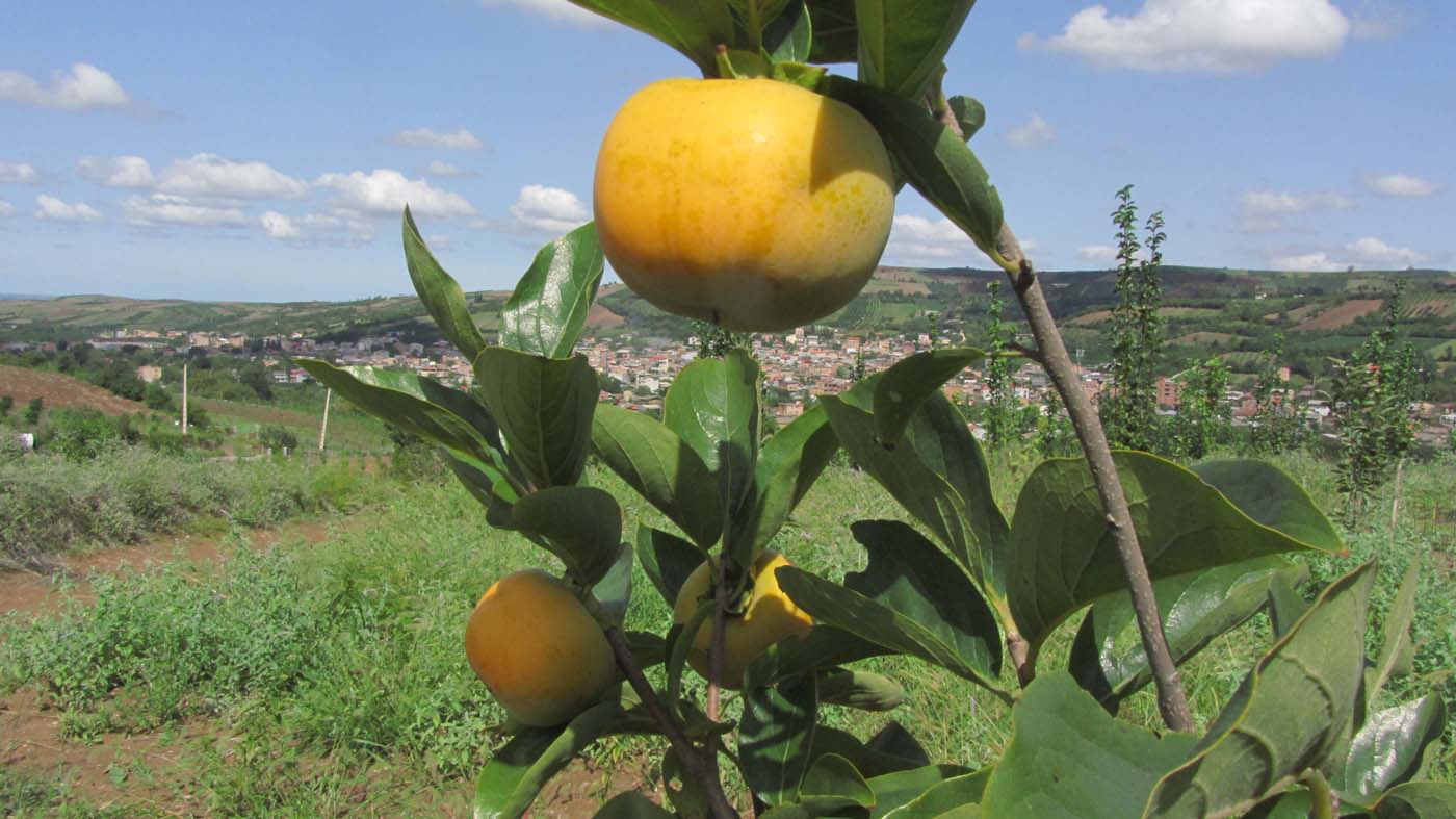 2_6_.jpg (1400×787)