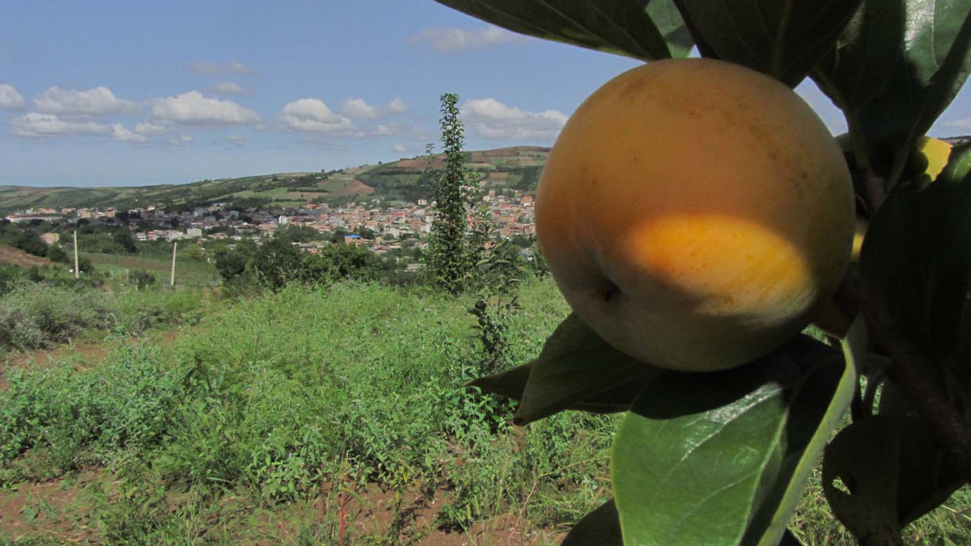 2_9_.jpg (1400×787)