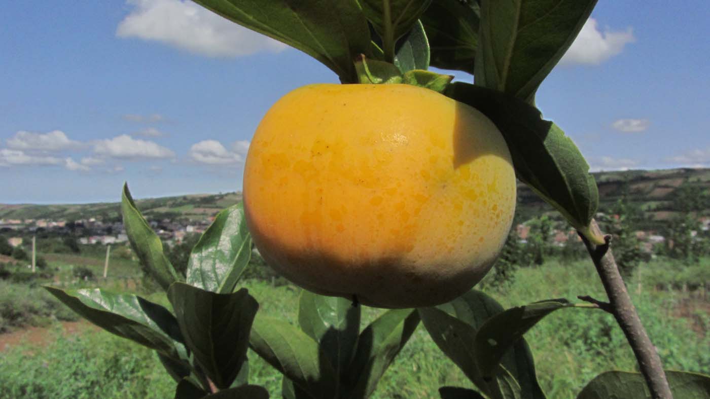 2_10_.jpg (1400×787)