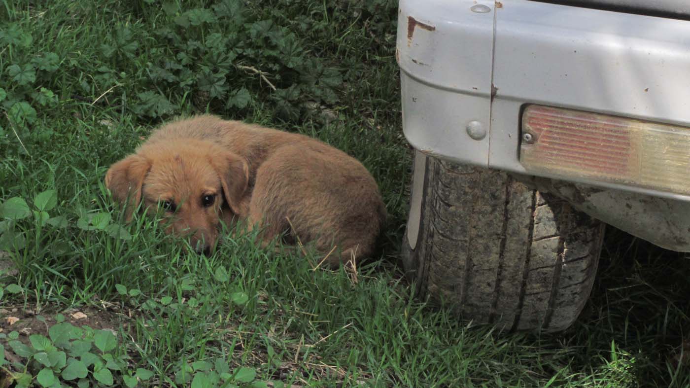 2_14_.jpg (1400×787)