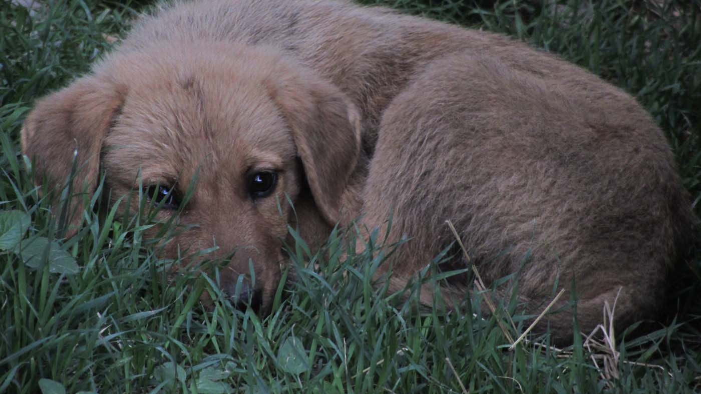 2_17_.jpg (1400×787)