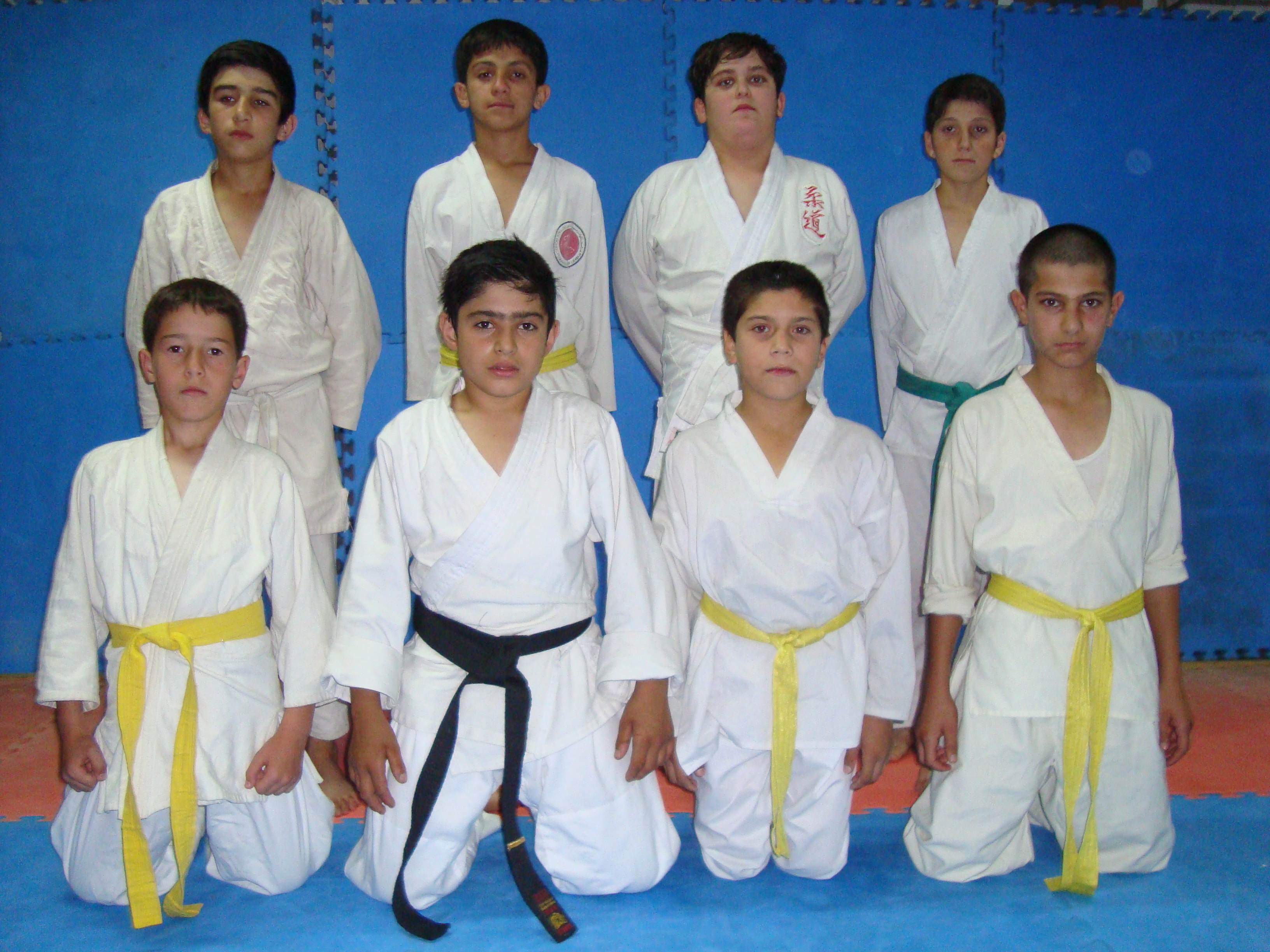 http://s8.picofile.com/file/8277209442/DSC00450.JPG