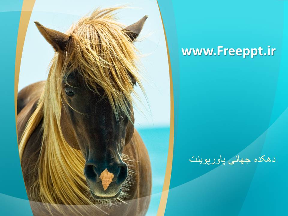 قالب پاورپوینت اسب اصیل قالب پاورپوینت اسب اصیل