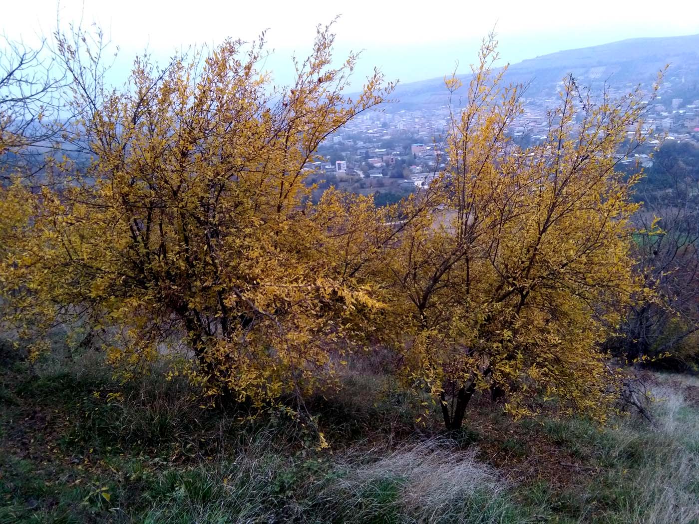 1_1_.jpg (1400×1050)