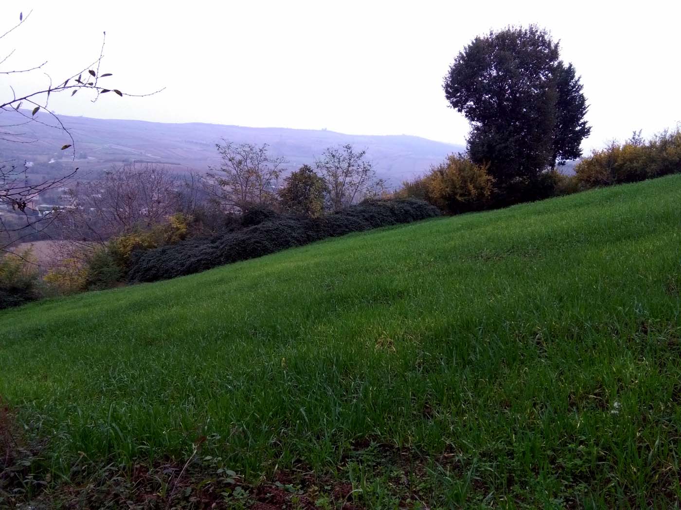 1_4_.jpg (1400×1050)