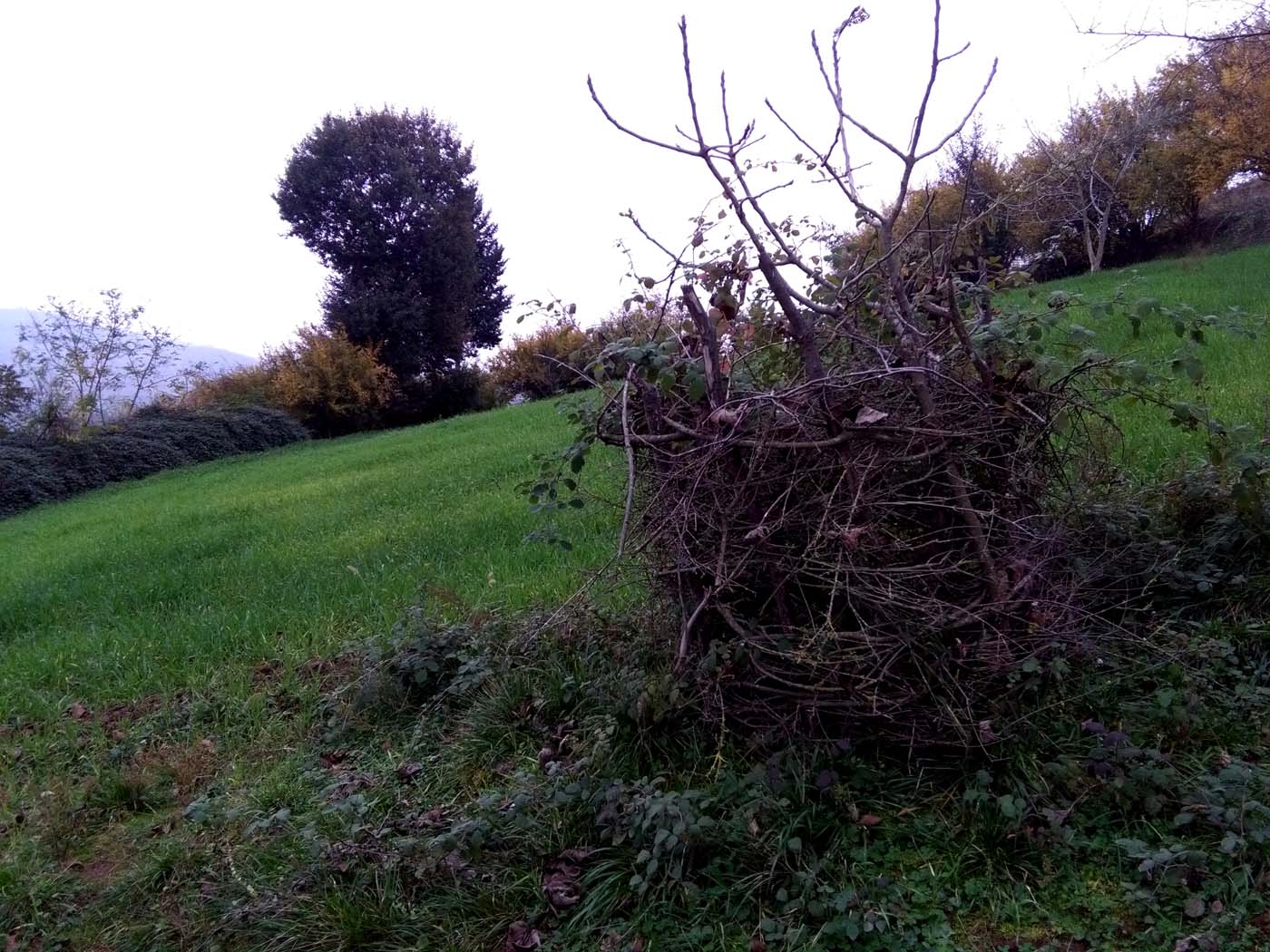 1_6_.jpg (1400×1050)