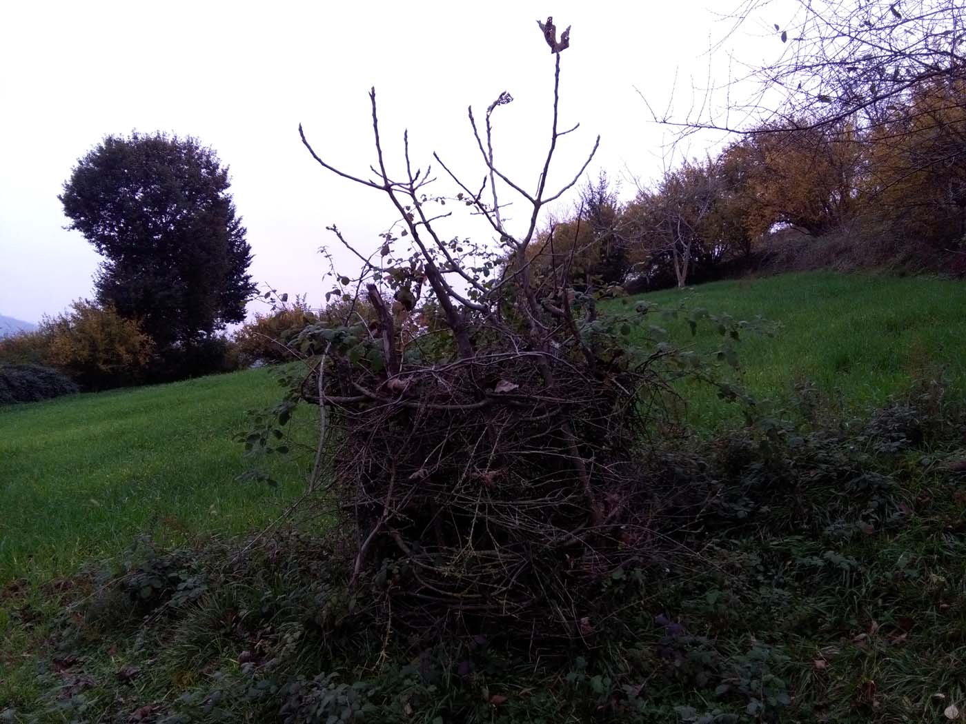 1_7_.jpg (1400×1050)