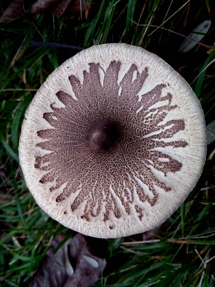 1_12_.jpg (713×950)