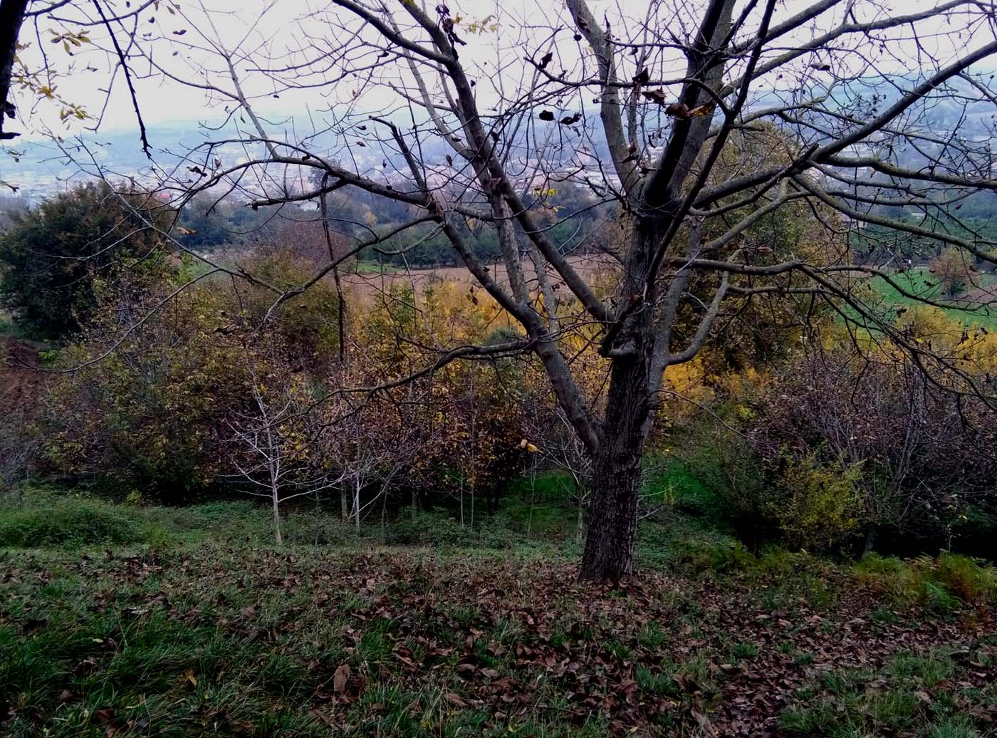 1_15_.jpg (1400×1036)