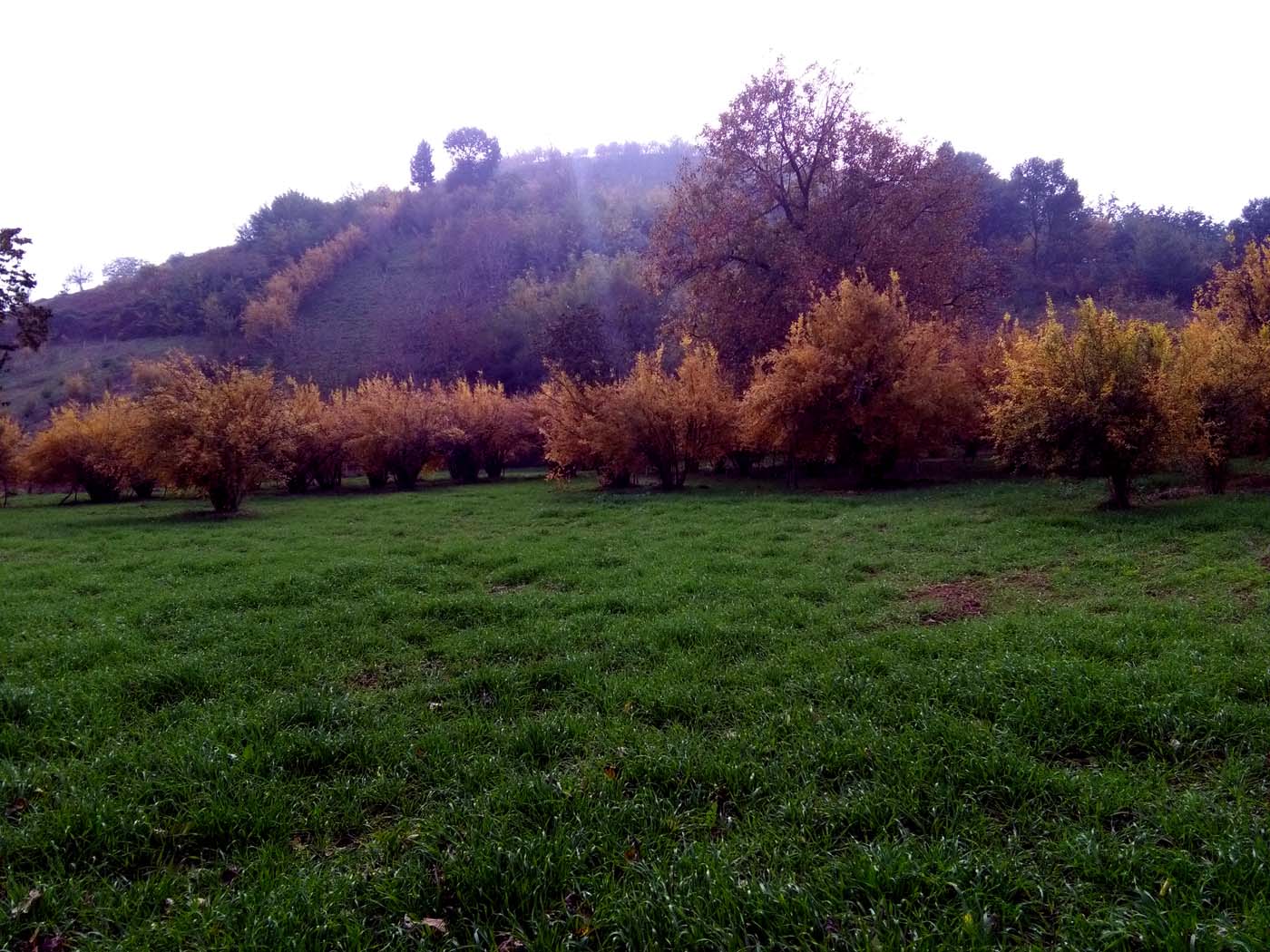 1_20_.jpg (1400×1050)