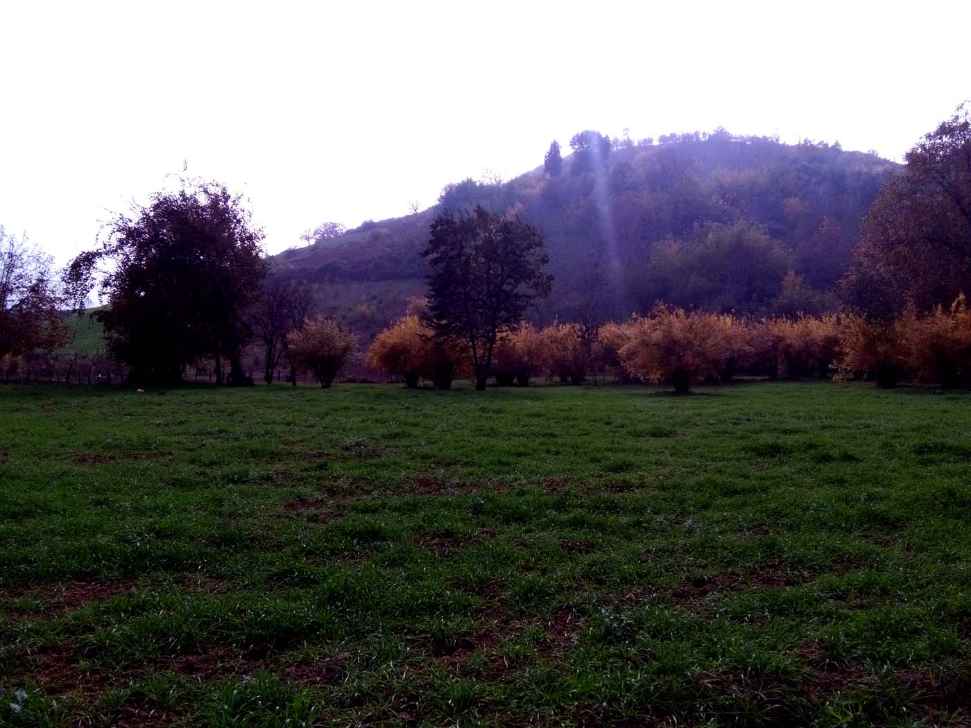 1_23_.jpg (1400×1050)