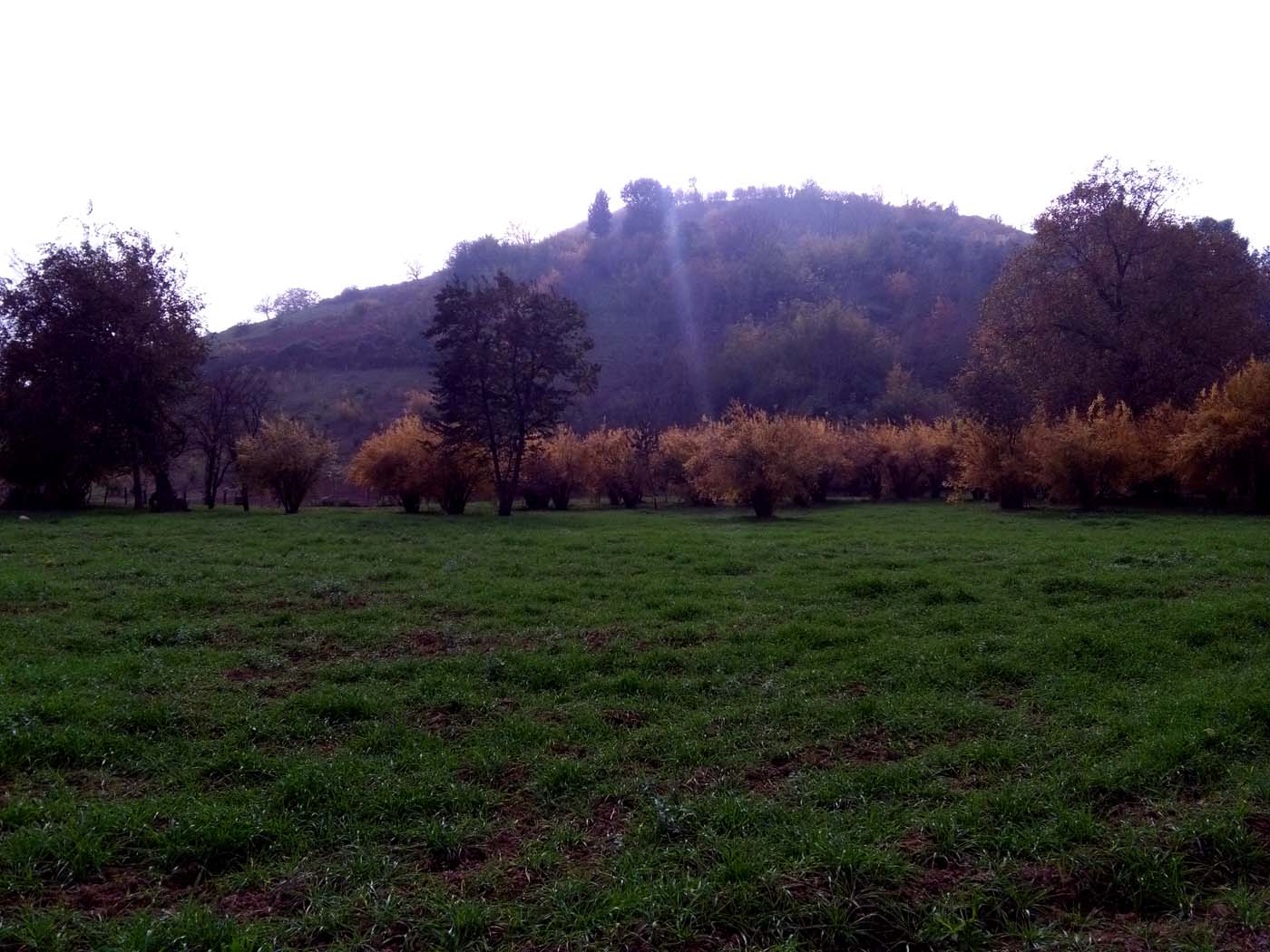 1_24_.jpg (1400×1050)