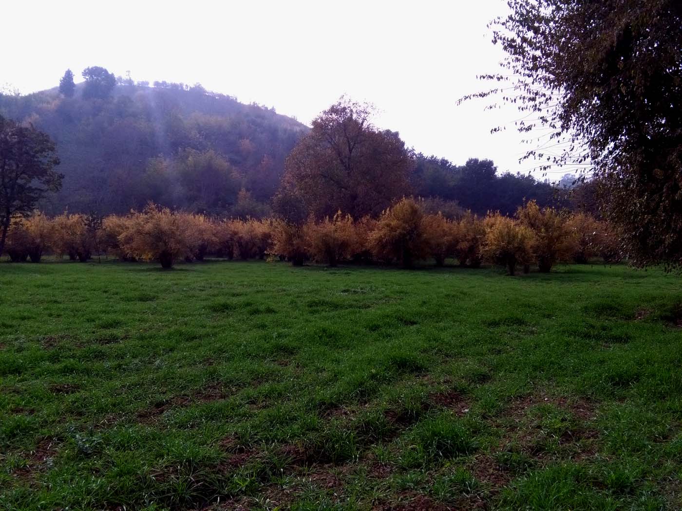 1_25_.jpg (1400×1050)