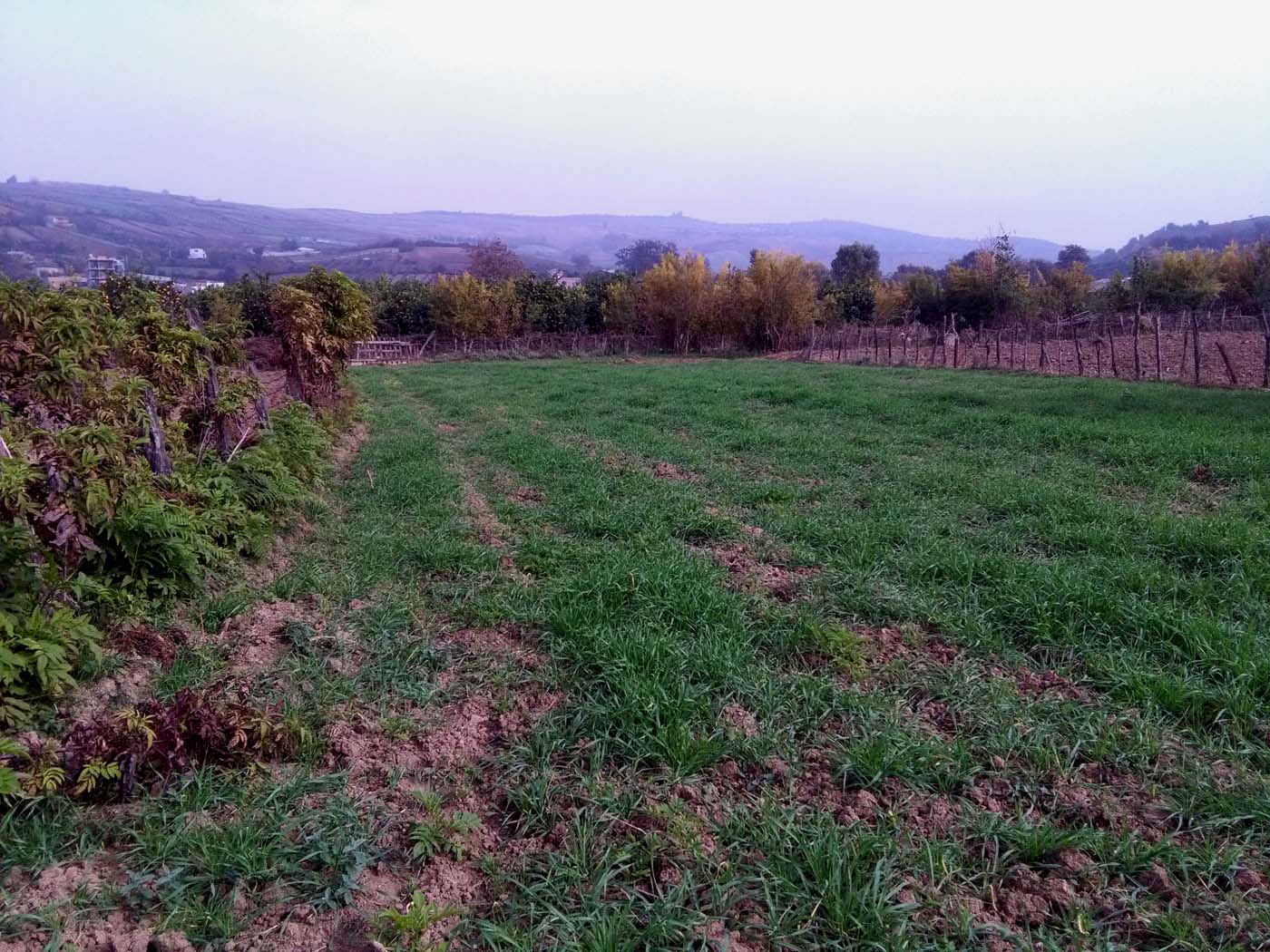 1_28_.jpg (1400×1050)