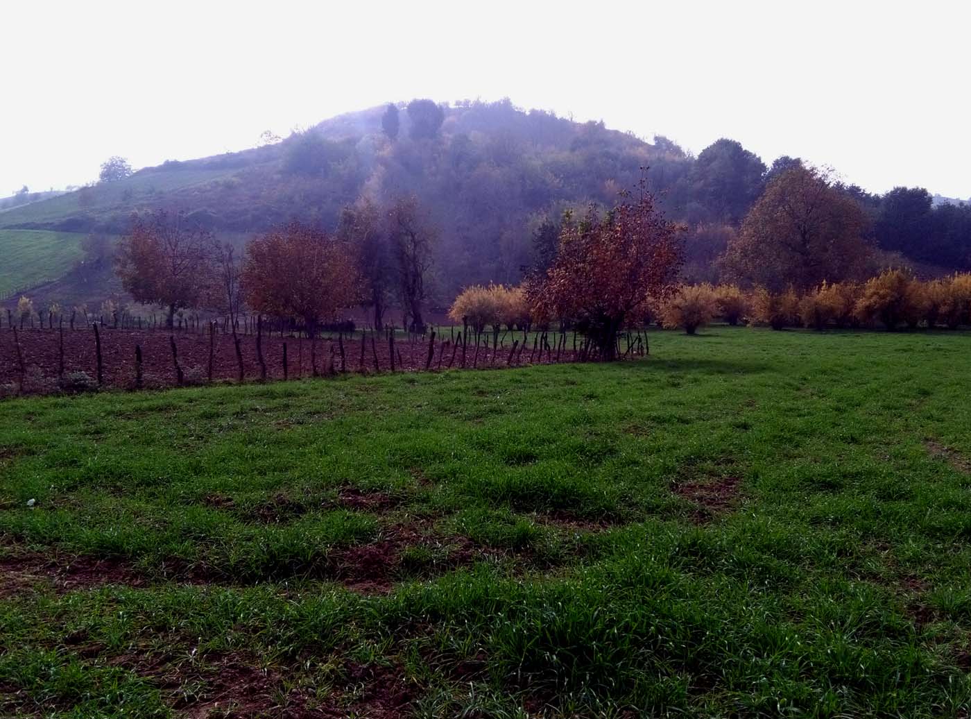 1_31_.jpg (1400×1036)