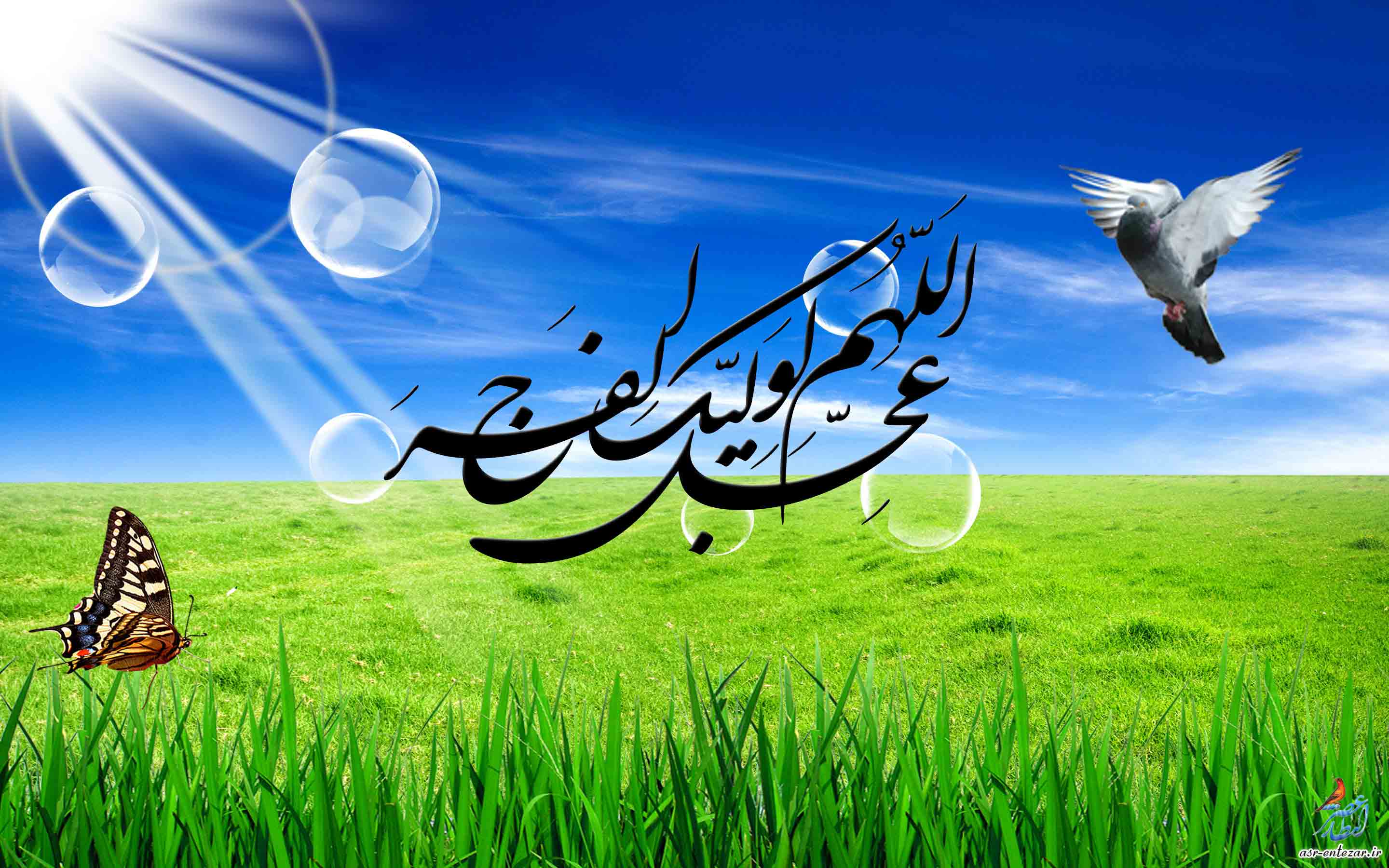 متن جایگزین